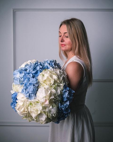 Голубая гортензия