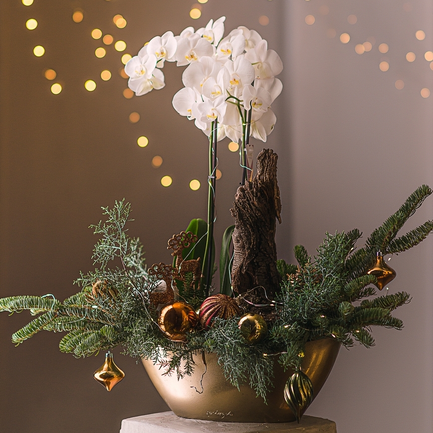 Новогодняя коллекция