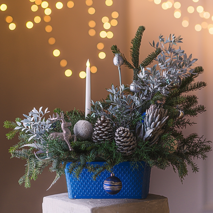 Новогодняя коллекция