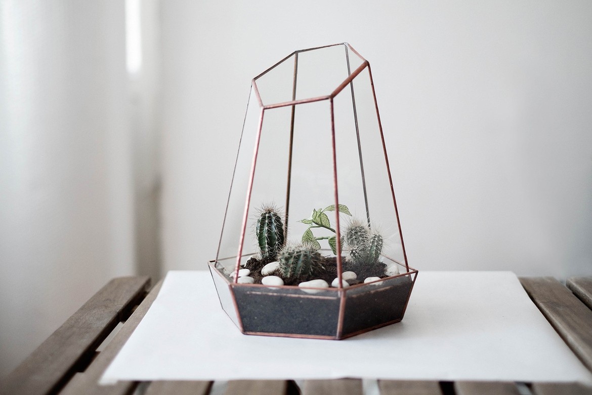 Террариум #1