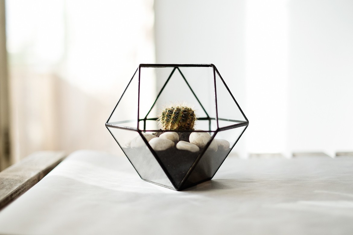 Террариум #3